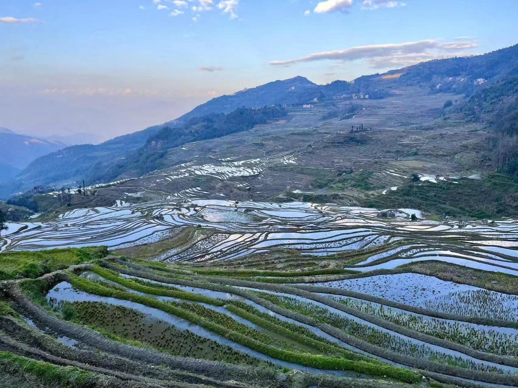 Yuanyang Flower And Horse Inn Yuanyang (Yunnan) Exterior foto